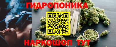 СК Канаш