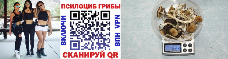 Псилоцибиновые грибы Magic Shrooms  как найти наркотики  omg рабочий сайт  Узловая 